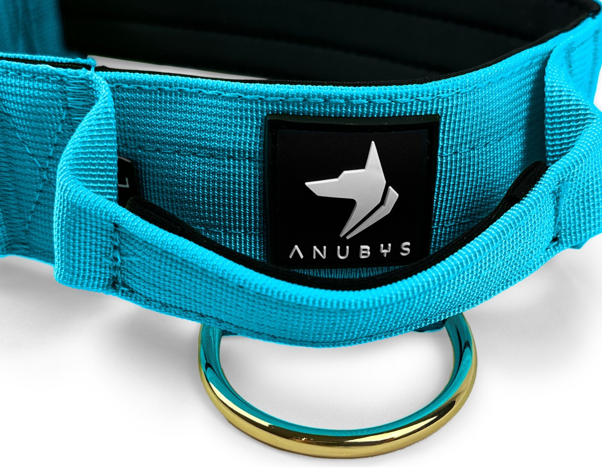 4cm Elite Tactical Collar | Tri - Layered | Azure Blue - Anubys - Small - 