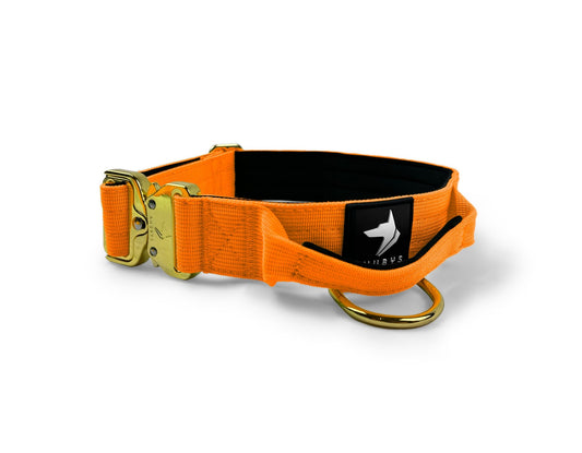 4cm Elite Tactical Collar | Tri - Layered | Neon Orange - Anubys - Small - 