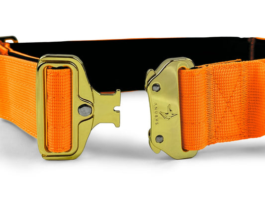 4cm Elite Tactical Collar | Tri - Layered | Neon Orange - Anubys - Small - 
