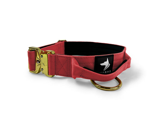 4cm Elite Tactical Collar | Tri - Layered | Red - Anubys - Small - 