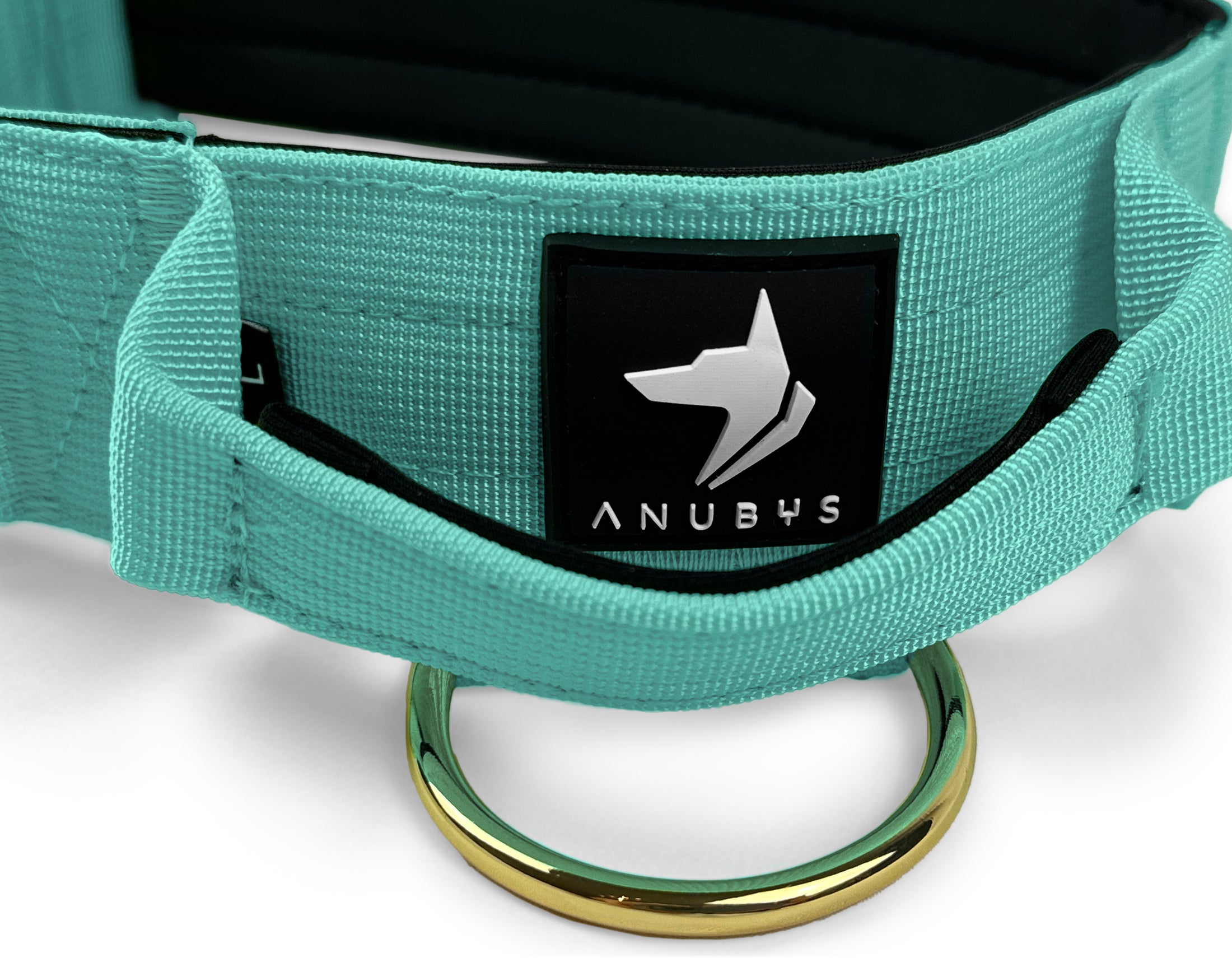 4cm Elite Tactical Collar | Tri-Layered | Turquoise - Anubys - Small - Turquoise - -