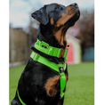 Load image into Gallery viewer, 5cm Elite Tactical Collar | Tri - Layered | Neon Green - Anubys - Small - 
