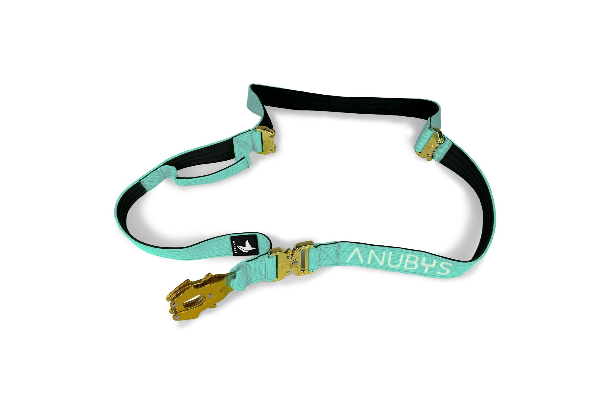 Adjustable Tactical Leash | Turquoise - Anubys - 