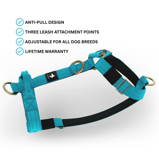 Tactical Harness | Anti - Pull Design | Azure Blue - Anubys - Small - 
