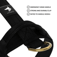 Load image into Gallery viewer, Tactical Harness | Anti - Pull Design | Black - Anubys - Small - 
