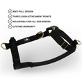 Load image into Gallery viewer, Tactical Harness | Anti - Pull Design | Black - Anubys - Small - 
