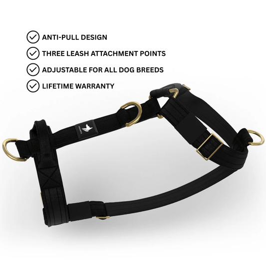 Tactical Harness | Anti - Pull Design | Black - Anubys - Small - 