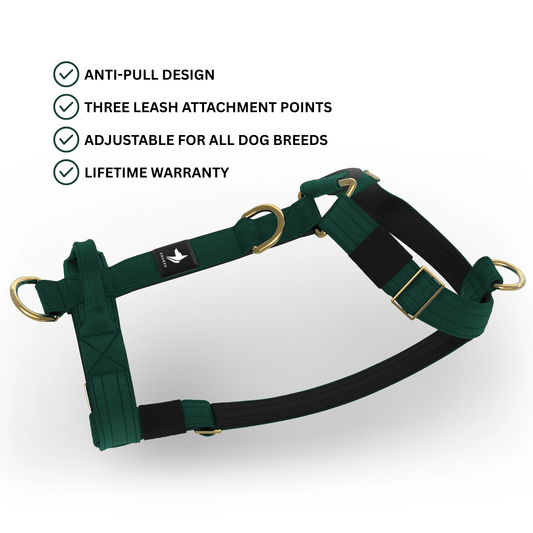 Tactical Harness | Anti - Pull Design | Emerald - Anubys - Small - 