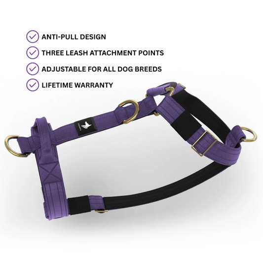 Tactical Harness | Anti - Pull Design | Indigo - Anubys - Small - 