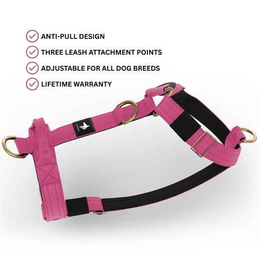 Tactical Harness | Anti - Pull Design | Magenta - Anubys - Small - 