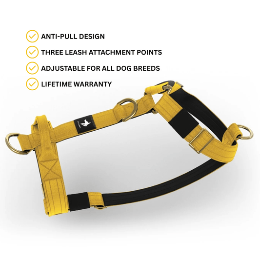 Tactical Harness | Anti - Pull Design | Mustard - Anubys - Small - 
