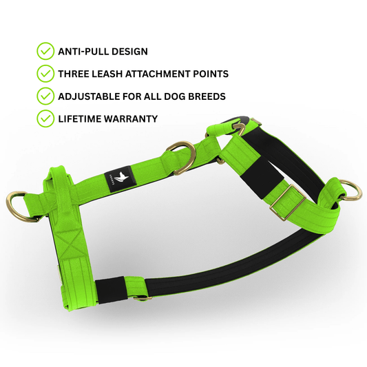 Tactical Harness | Anti - Pull Design | Neon Green - Anubys - Small - 