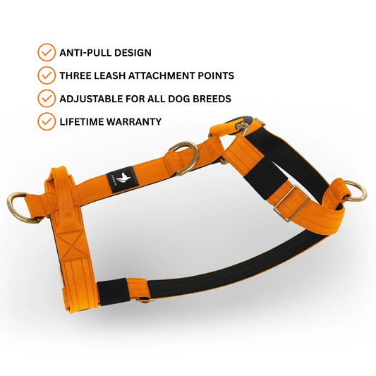 Tactical Harness | Anti - Pull Design | Neon Orange - Anubys - Small - 
