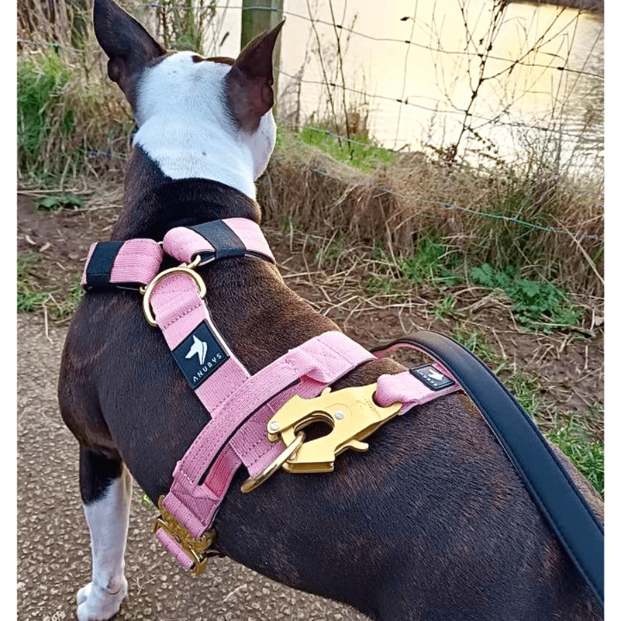 Tactical Harness | Anti - Pull Design | Pink - Anubys - Small - 