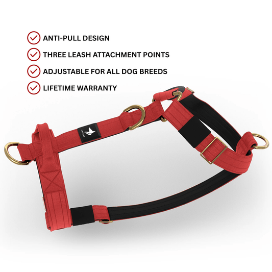 Tactical Harness | Anti - Pull Design | Red - Anubys - Small - 