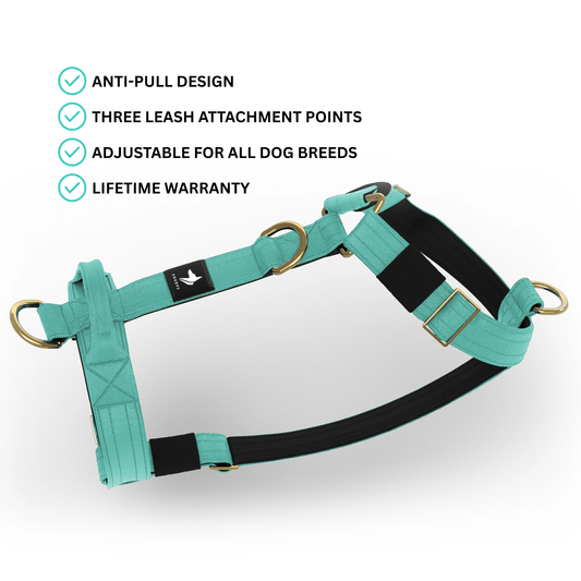 Tactical Harness | Anti - Pull Design | Turquoise - Anubys - Small - 