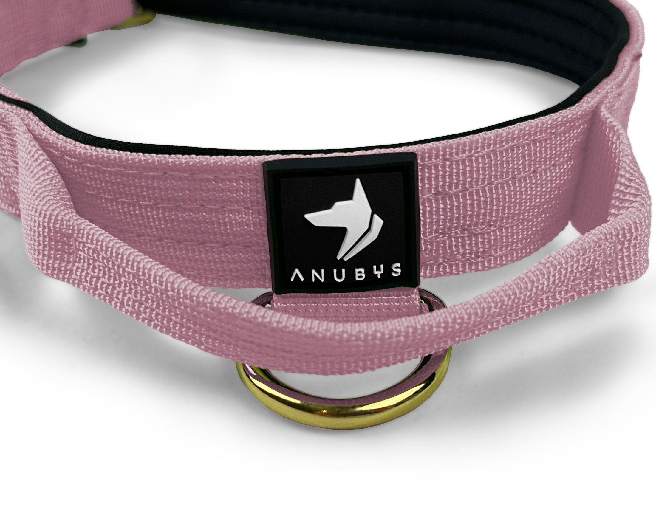2.5cm Elite Tactical Collar | Tri-Layered | Pink - Anubys - X Small - Pink - -