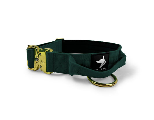 4cm Elite Tactical Collar | Tri-Layered | Emerald - Anubys - Small - Emerald - -